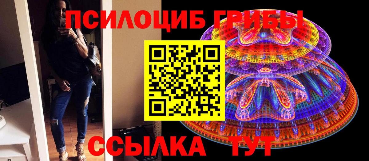 Псилоцибиновые грибы Cubensis Отрадный