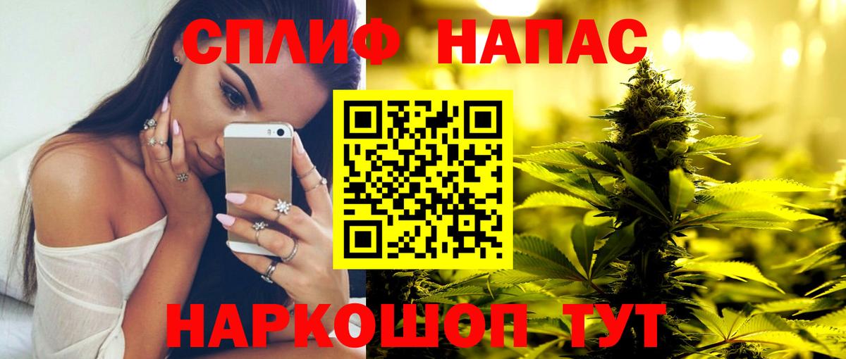 Конопля Bruce Banner Отрадный